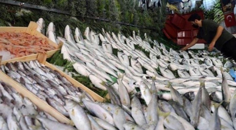 Yeni yılda balık fiyatları sevindirdi!