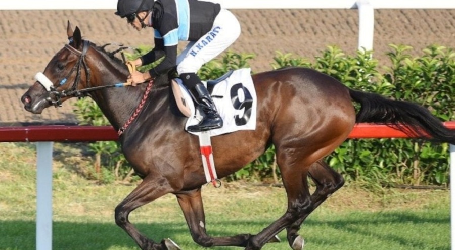 At yarışı bahislerine zam geldi!