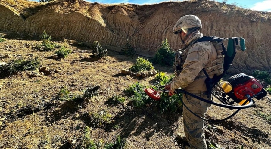 Diyarbakır'da 102 milyon kök hint keneviri ve 47 ton esrar ele geçirildi