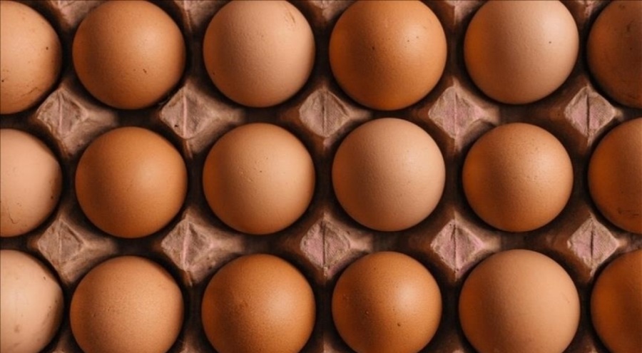 Türkiye'nin ihraç ettiği ilk yumurtalar Rusya'ya ulaştı