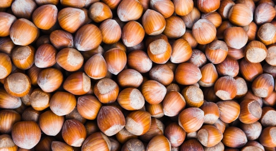 Fındık üreticilerine uyarı geldi!