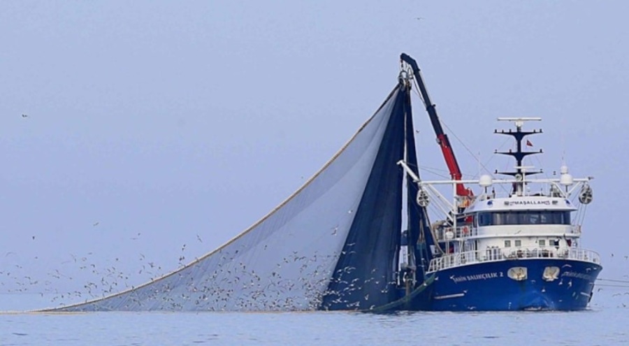 İzleme cihazı çalışmayan gemiler avlanamayacak! Karar Resmi Gazete'de