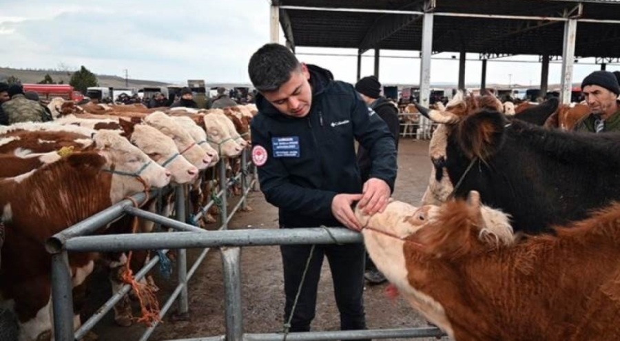 3 ilde şap şüphesi!