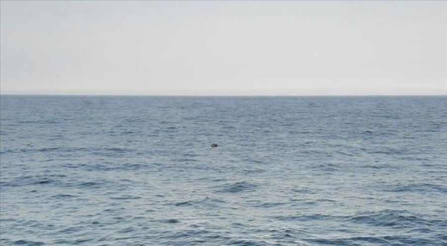 Türkiye, Bulgaristan ve Romanya, Karadeniz'deki mayınların temizlenmesi için anlaşma yapacak