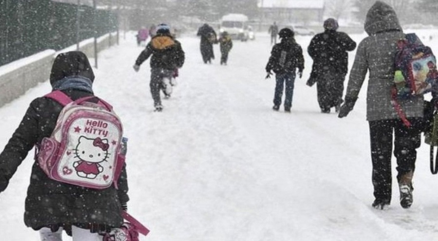 Van ve Bitlis'te okullar tatil edildi