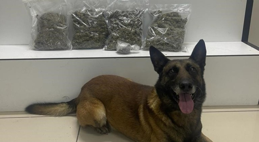 Narkotik köpekli uyuşturucu operasyonu: 2 kilogram uyuşturucu bulundu