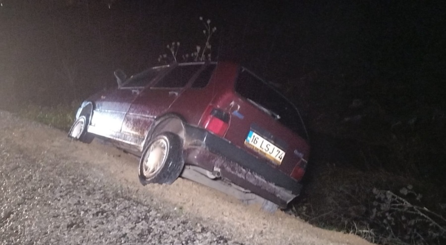 Bursa'da dereye yuvarlanmak üzere olan otomobili yol kenarındaki ağaç engelledi