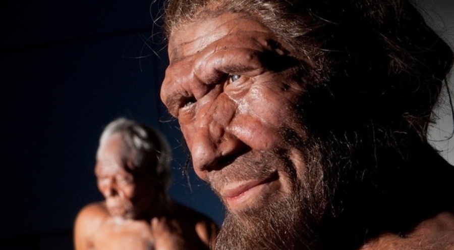 Neandertal misiniz? İşte 6 işaret...