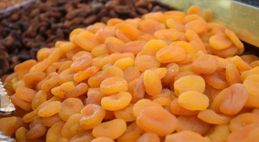 2023'te 408 milyon dolarlık kuru kayısı ihracatı gerçekleşti