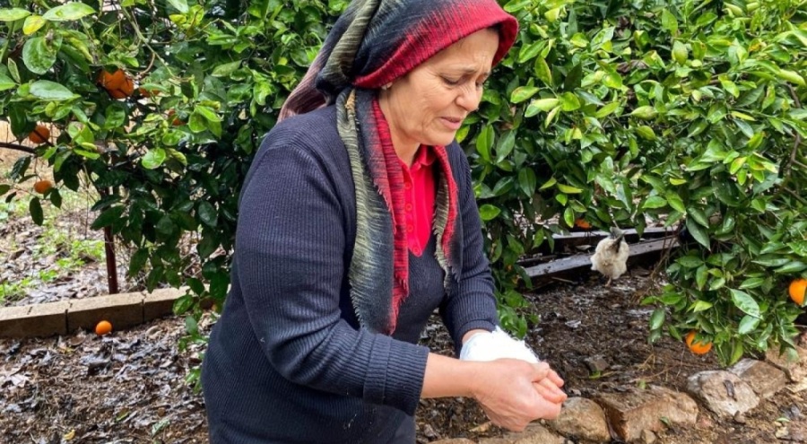 Antalya'da doberman dehşeti: Kadını elinden yakaladı