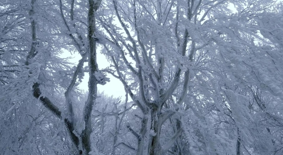 Bolu Türkiye'nin en soğuk gecesini yaşadı