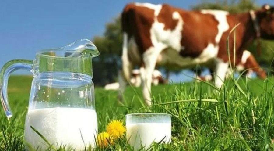 USK'dan süt fiyatı: Çiğ süt tavsiye fiyatı açıkladı