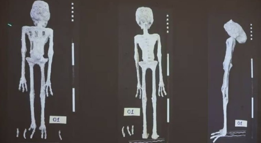 Uzmanı açıkladı: 'Uzaylı mumyalar' hakkında yeni iddia