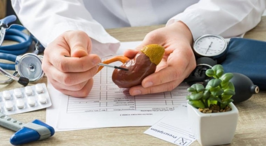 Nefroloji uzmanı açıkladı: İlaç ve kimyasalların böbrekler üzerindeki zehirleyici etkileri