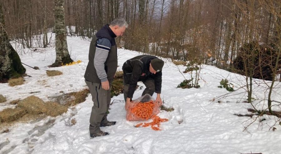 Bursa'da yaban hayvanları için yem bırakıldı
