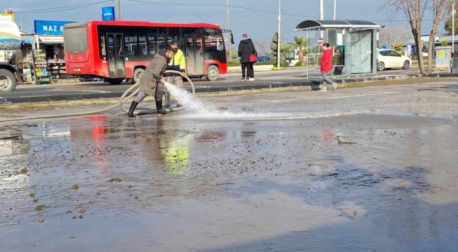 Selden etkilenen Ayvalık yaralarını sarıyor