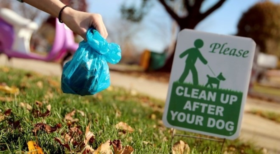 Tüm köpeklere DNA testi zorunluluğu