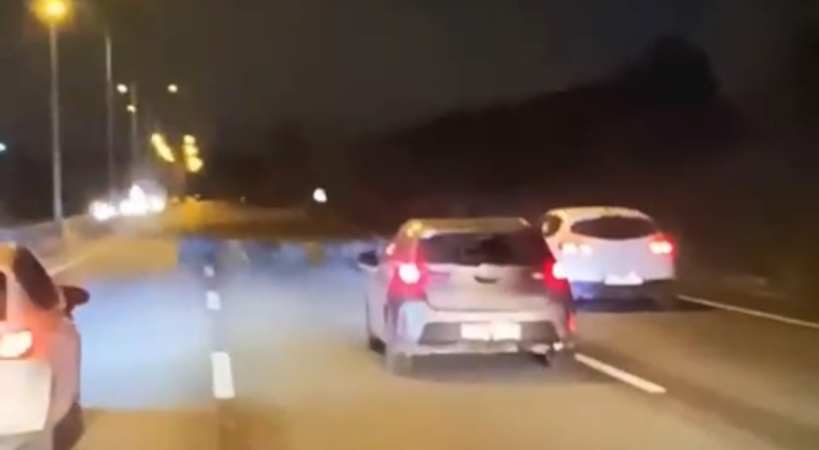 Bursa'da domuz sürüsü bir anda ana yola atladı