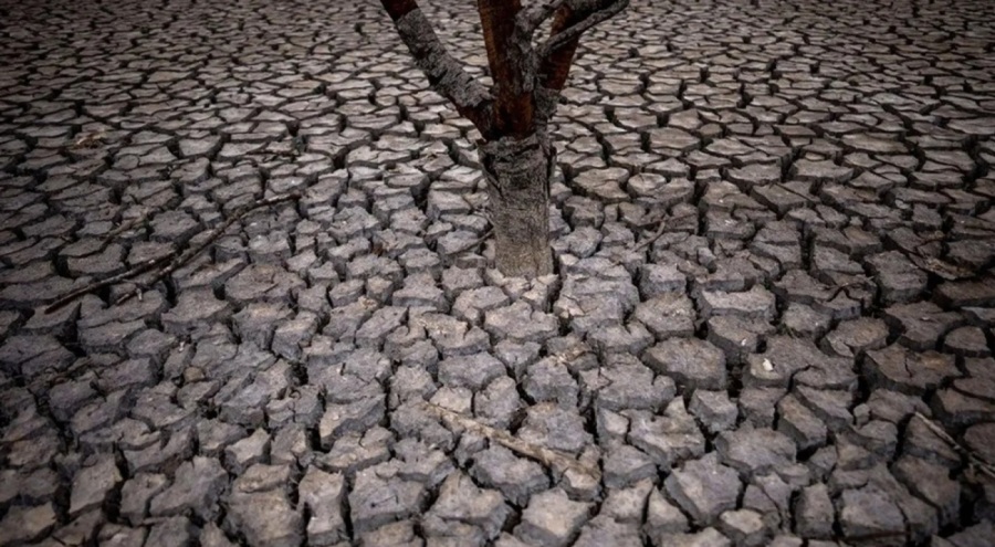 Tarihinin en kötü kuraklığı: Halk deniz suyu içmeye başladı