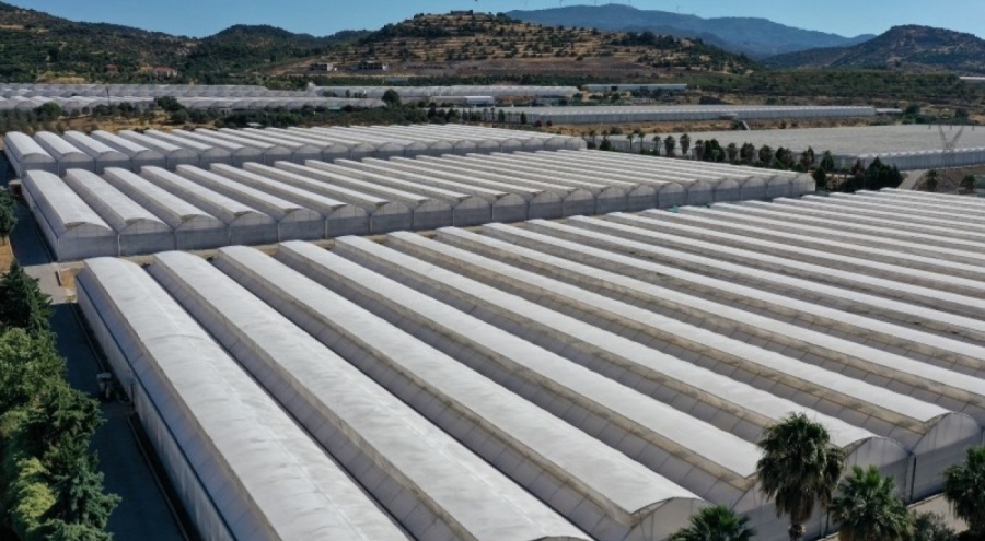 Kayıt dışı seralara düzenleme yolda!