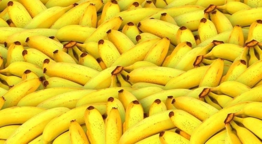 Muzun bilinmeyen faydaları: Kansere karşı savaşıyor