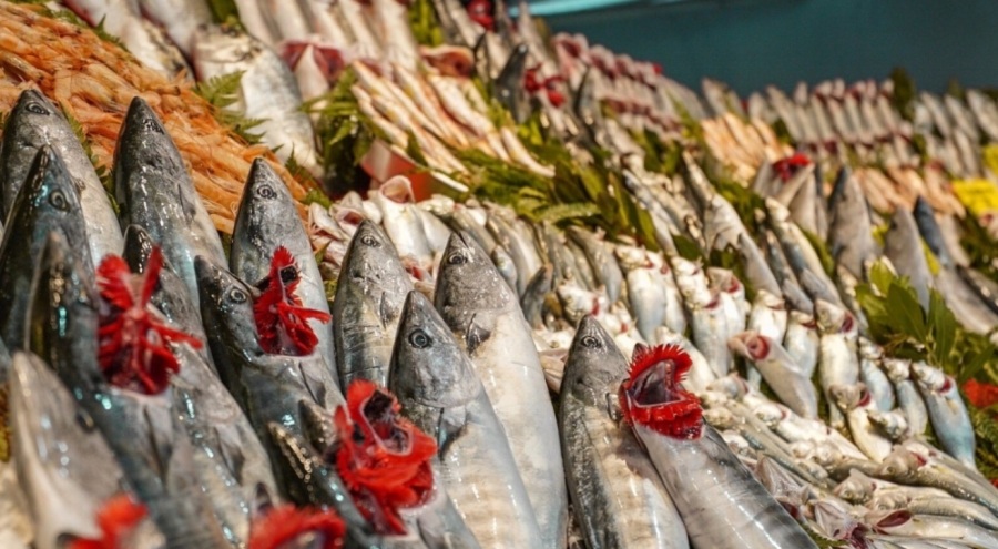 Marmara'daki fırtına balık fiyatlarını da vurdu