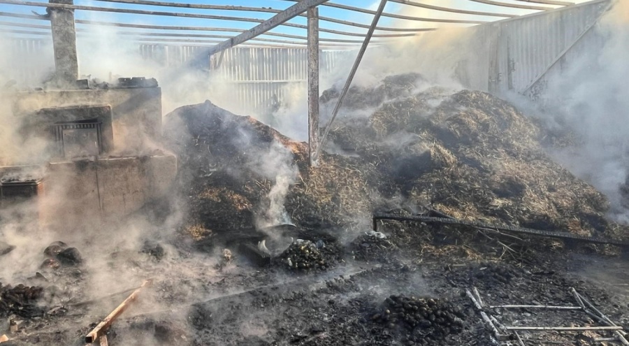 Samanlıkta yangın çıktı, mahalleli ve itfaiye seferber oldu