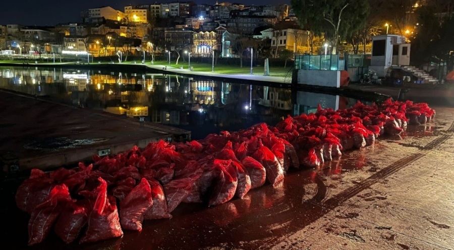 6 ton kaçak midye ele geçirildi