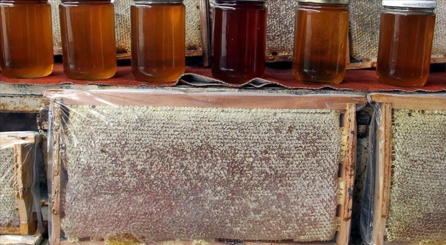 Sinop'ta bal rekoltesindeki düşüş sürüyor