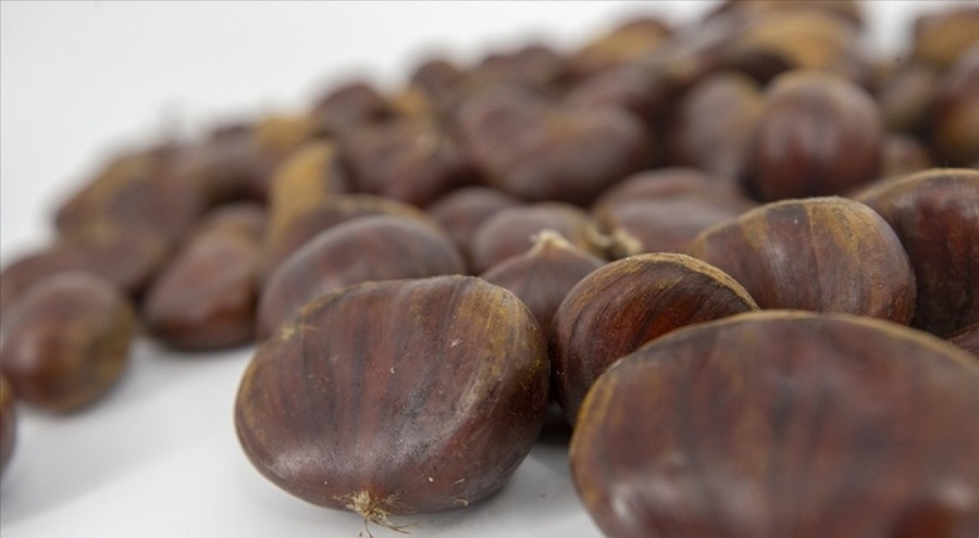 Kestane ithalatı gözetim uygulaması kapsamına alındı