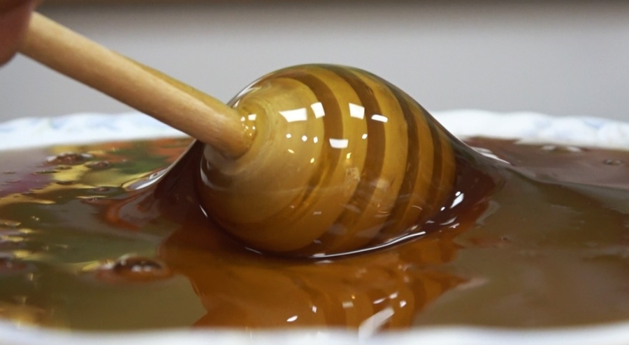 Yalova'nın kestane balı coğrafi işaret aldı