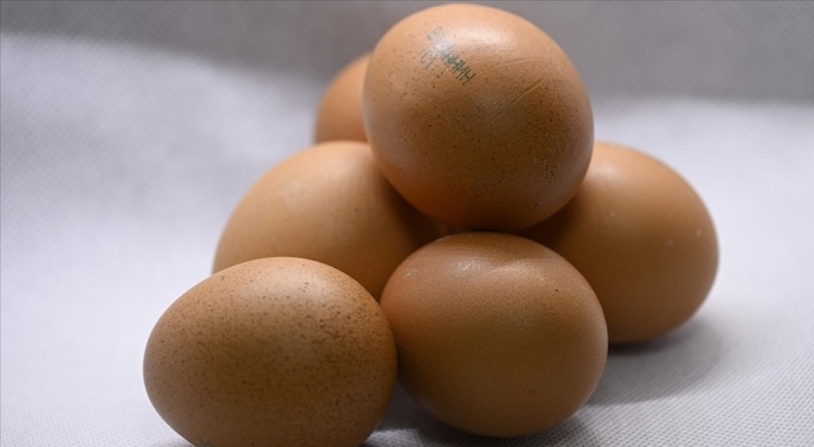 Rusya, Türkiye'den 1,5 milyon adet yumurta ithal etti