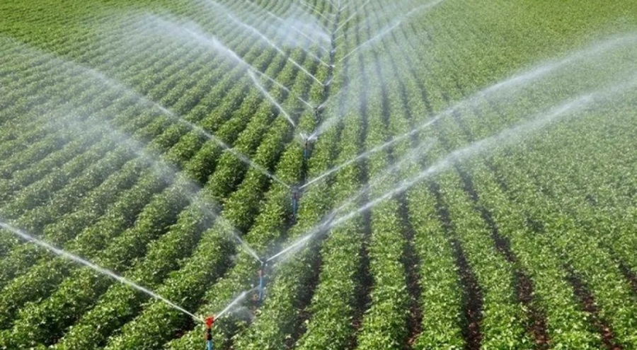Tarım alanları satılıyor: Çiftçiler üretimden vazgeçiyor!