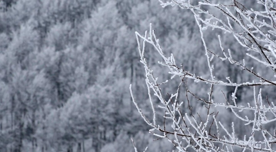 Kırklareli'nin yüksek kesimlerinde kar etkili oldu