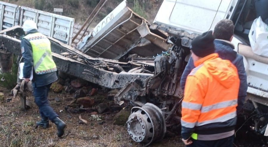 Tomruk yüklü kamyon kaza yaptı!