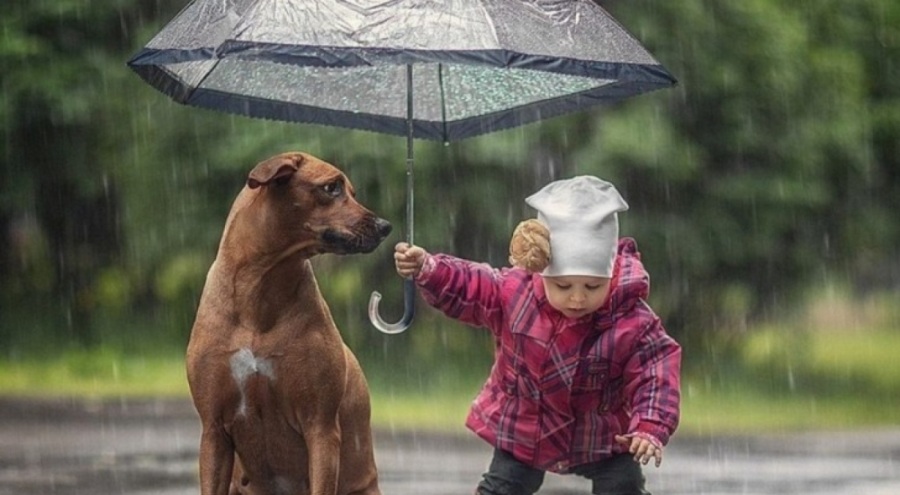 Psikiyatri Uzmanı açıkladı: Diziler ve filmler merhametsizliği artırdı!