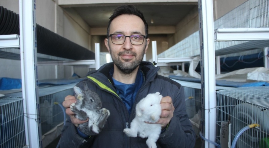 Sivas'ta veteriner hekim, etlik tavşan çiftliği kurarak tatil bölgelerine tavşan eti gönderiyor