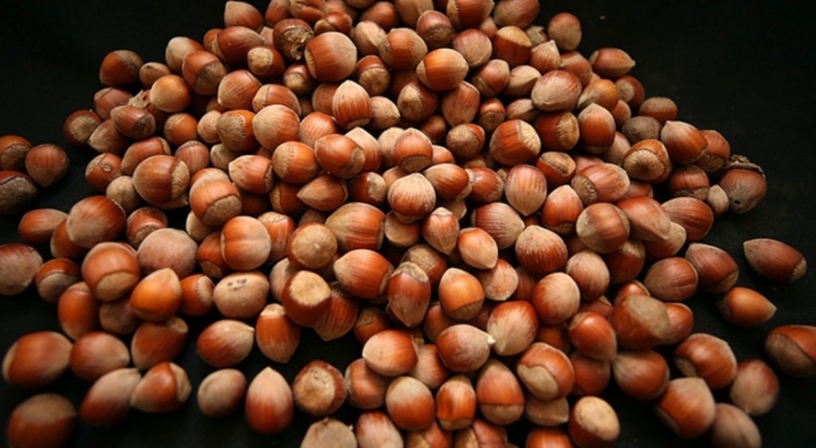 5 aylık fındık ihracatı 1 milyar doları geçti