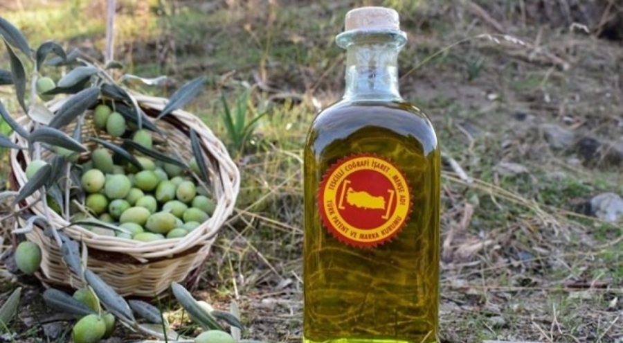 Aydın memecik zeytinyağı tescillendi