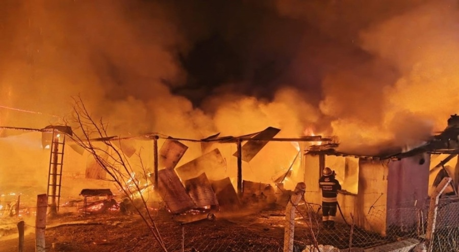 Ağılda yangın: 63 küçükbaş hayvan telef oldu