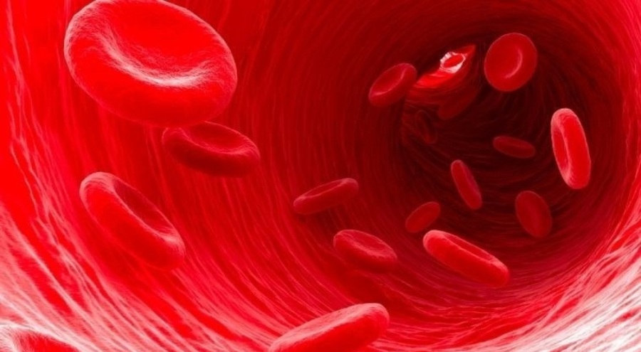 Bilim insanları hemoglobin ile çalışabilen pil üretti