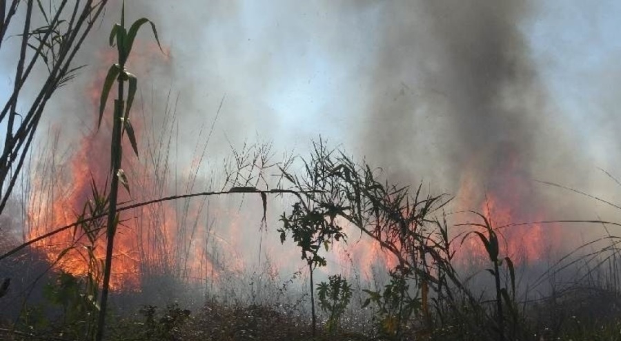Antalya'da alevlerin boyu metrelerce yükseldi!