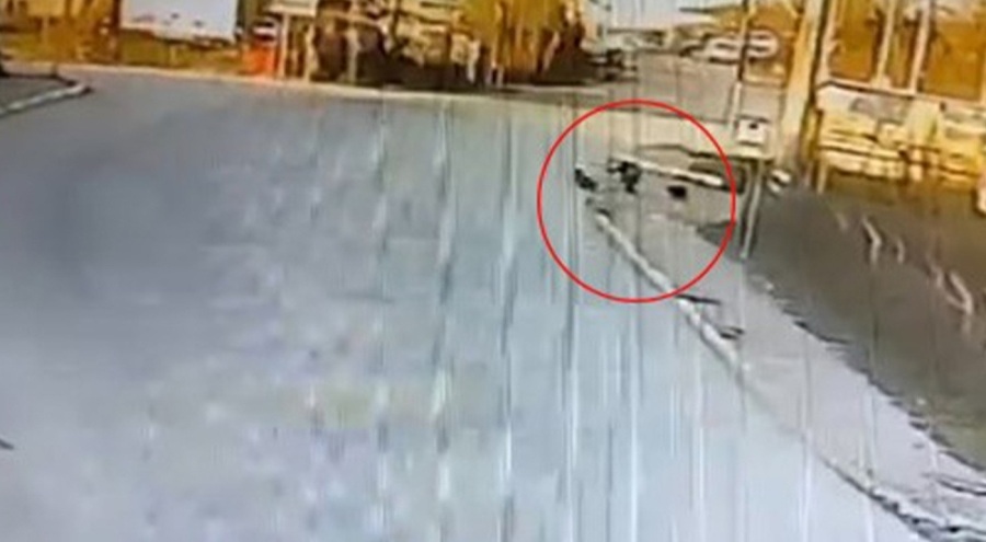 Kocaeli'de okula giden çocuklara köpekler saldırdı!