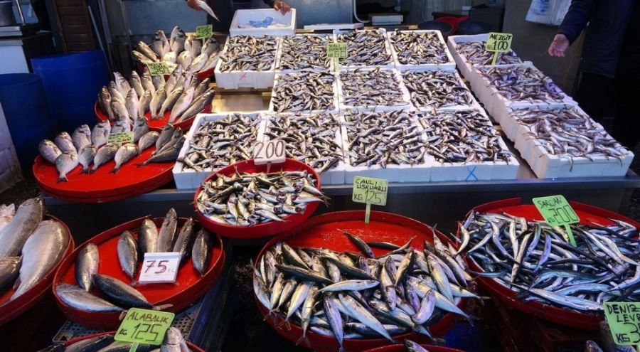 Balıkçılar hamsiyi denizde vatandaş ise tezgahta bulamıyor!