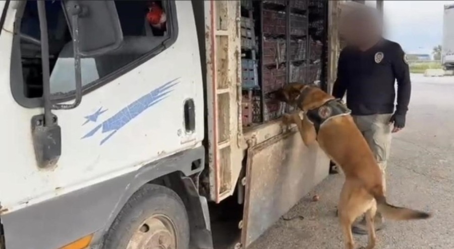 Elma kasalarından milyonlarca liralık uyuşturucu çıktı