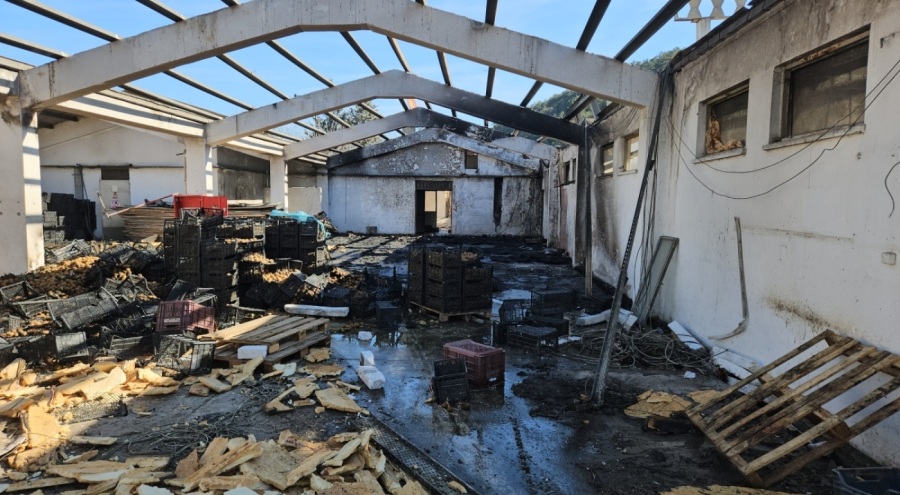 Depoda çıkan yangında faciadan dönüldü