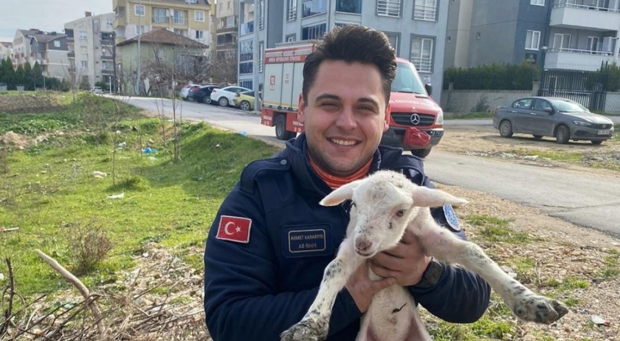 Bursa'da kuyuya düşen kuzuyu itfaiye kurtardı