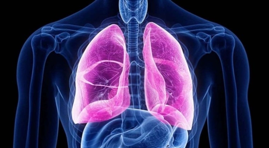 Uzmanlar duyurdu: Akciğer kanserlerinin yüzde 90'ının sebebi sigara