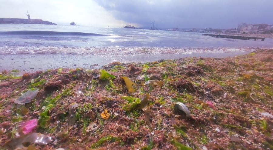 Tekirdağ kıyılarında etkili olan lodos kızıl yosunları beraberinde getirdi