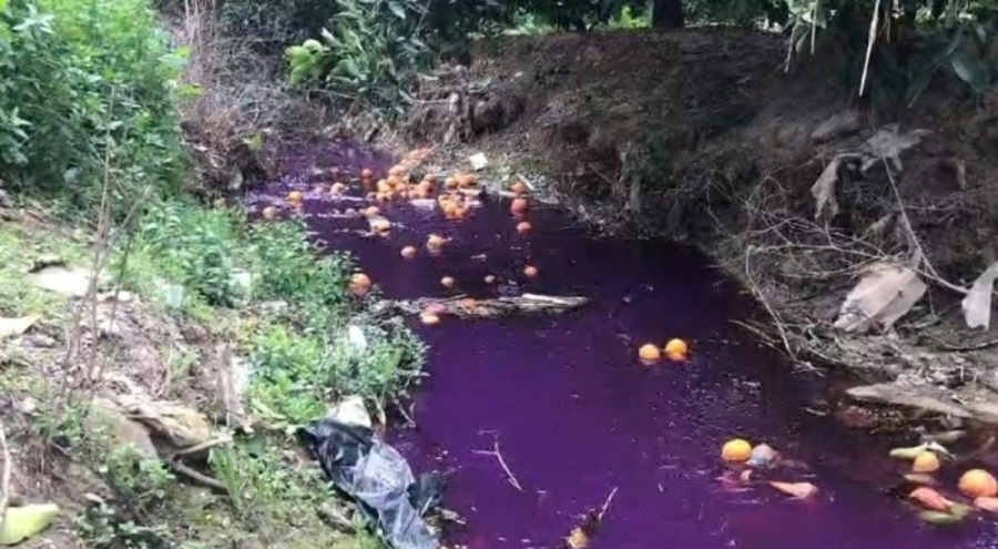 Deliçay Deresi'ndeki renk değişiminin nedeni belli oldu